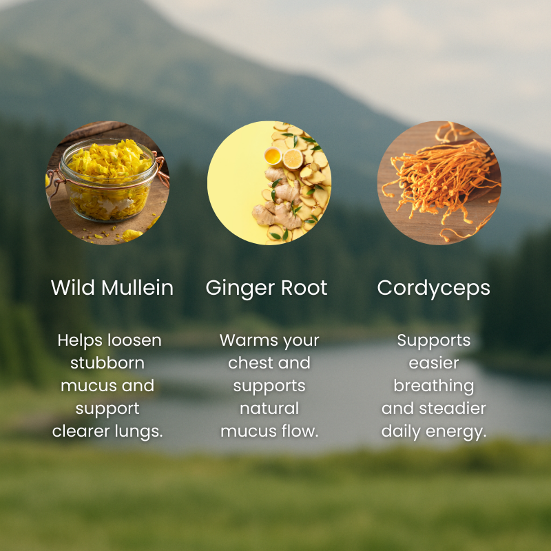 Natural Lung Support